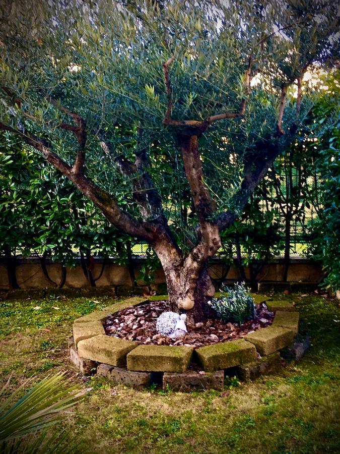 Residenza Il Fiore Bergamo Zewnętrze zdjęcie